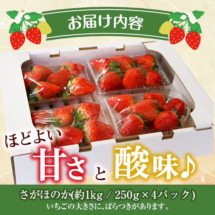 i790 ＜2023年12月中旬から2024年4月下旬の間に発送！＞【期間・数量限定】さがほのか(計約1kg・250g×4P)【山ん神】