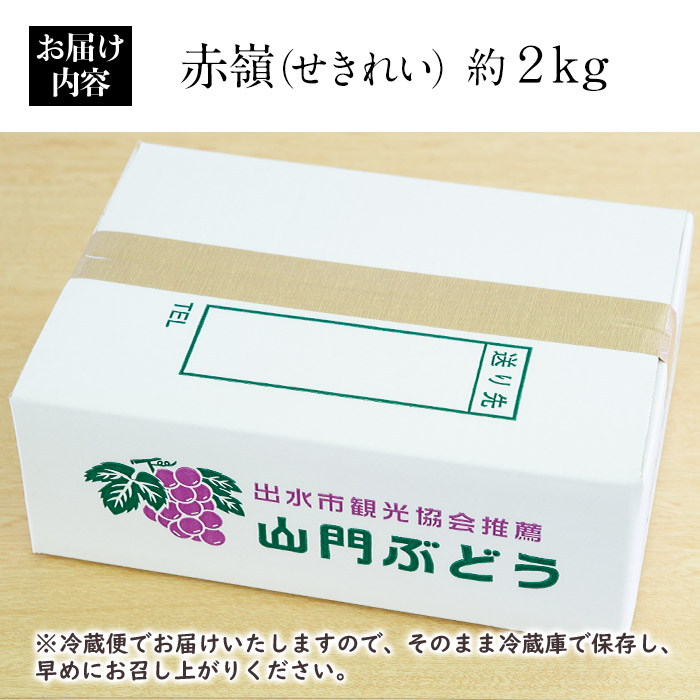 i348 ≪数量・期間限定≫赤嶺(セキレイ) (計約2kg) ぶどう グレープ 果物 くだもの フルーツ 葡萄 旬 糖度 上品な甘さ 歯ごたえ 冷蔵 【山門ぶどう園】