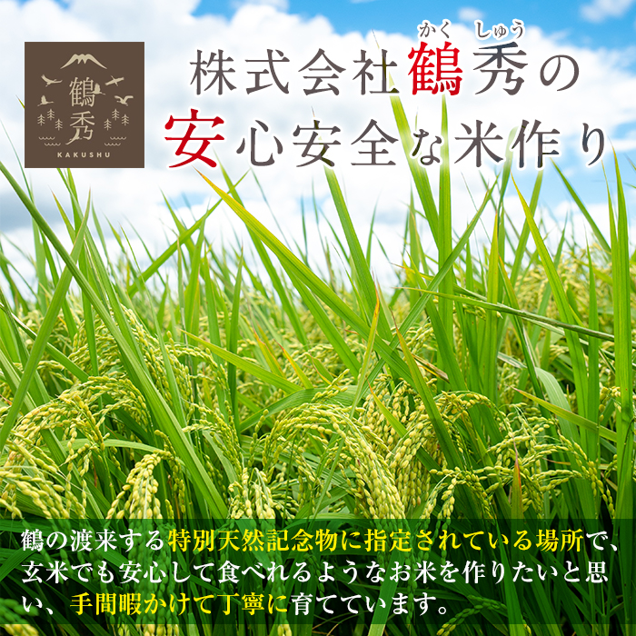 i194 ≪先行予約受付中！2024年9月中旬～10月中旬の間に発送予定≫＜数量限定・新米＞ 鶴秀米なつほのか 玄米(5kg×2袋・10kg) 特別栽培米 米 玄米 お米 10kg 国産 なつほのか 新米 おにぎり ごはん 【鶴秀】