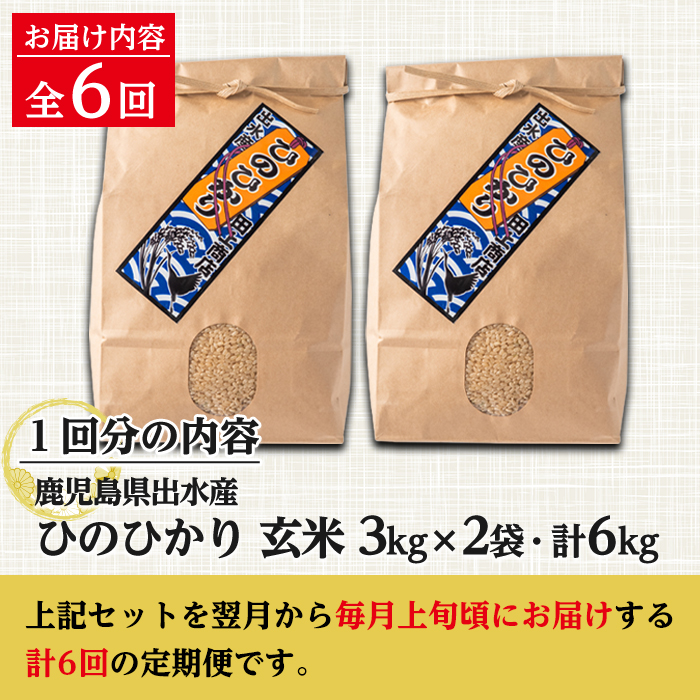 i542 ＜定期便・計6回(連続)＞鹿児島県出水市産ひのひかり玄米＜(3kg×2袋・計6kg)×全6回＞【田上商店】