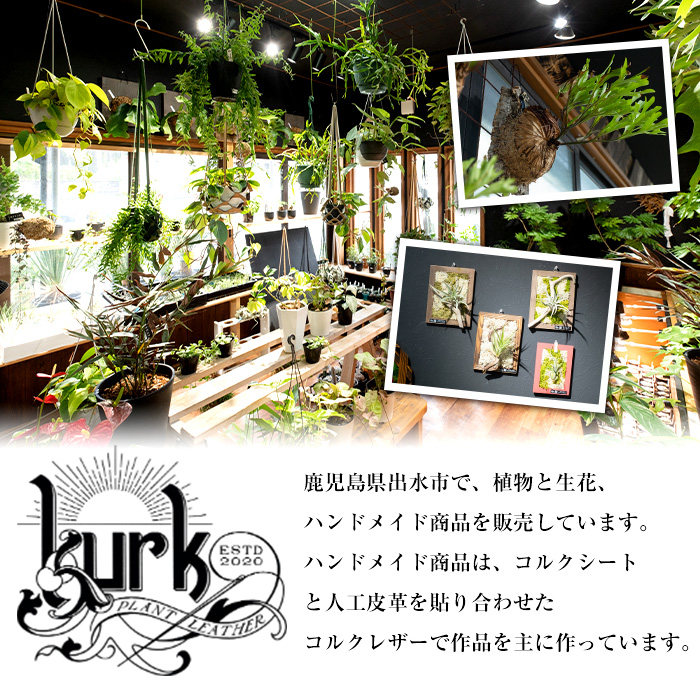 i624 サボテンレザーハンギング(ブラック・植物なし)地球環境や動物に配慮した素材で作られたプラントハンガー！【kurk PLANT LEATHER】