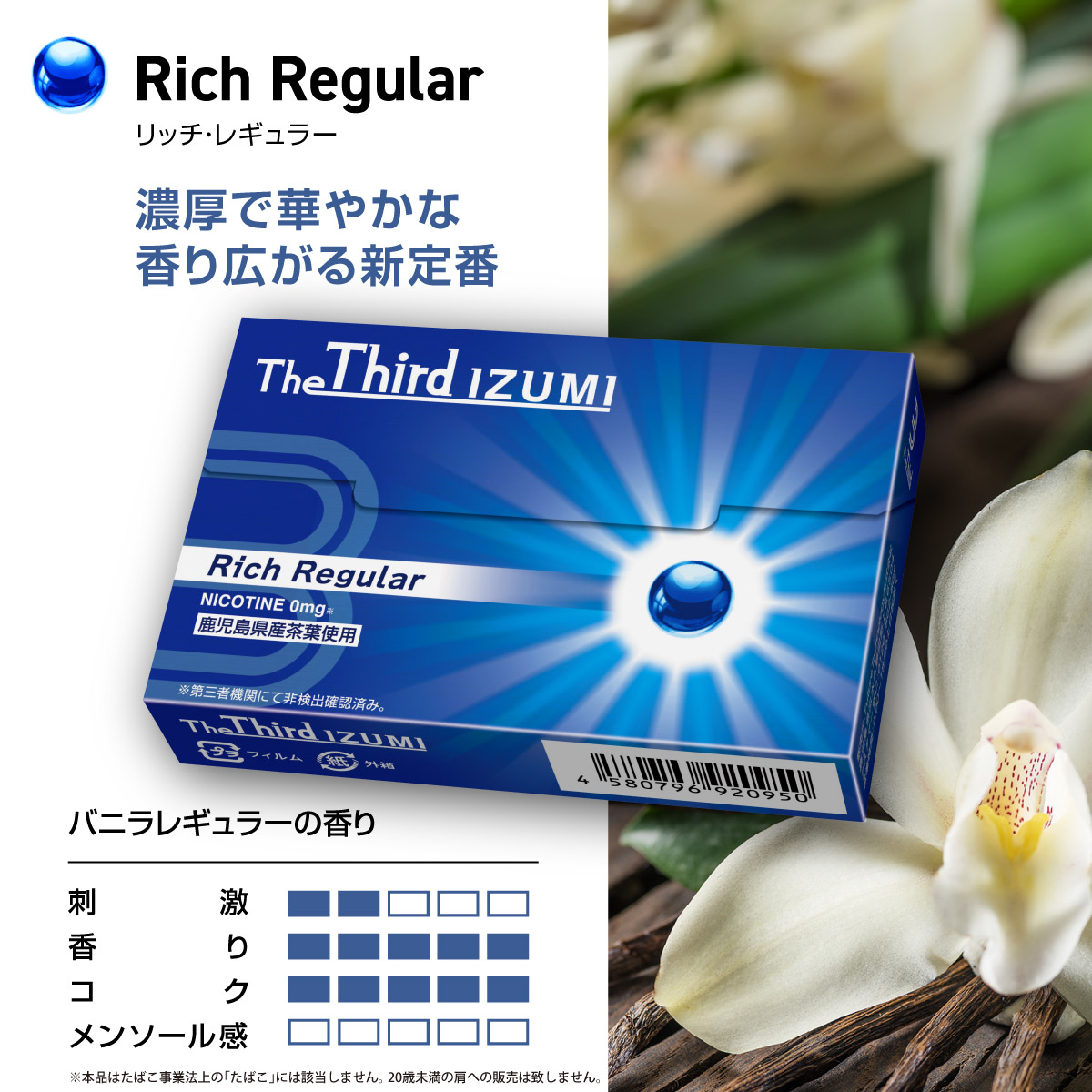 i948 The Third IZUMI リッチレギュラー(計200本・20本×10箱)【Future Technology 株式会社】