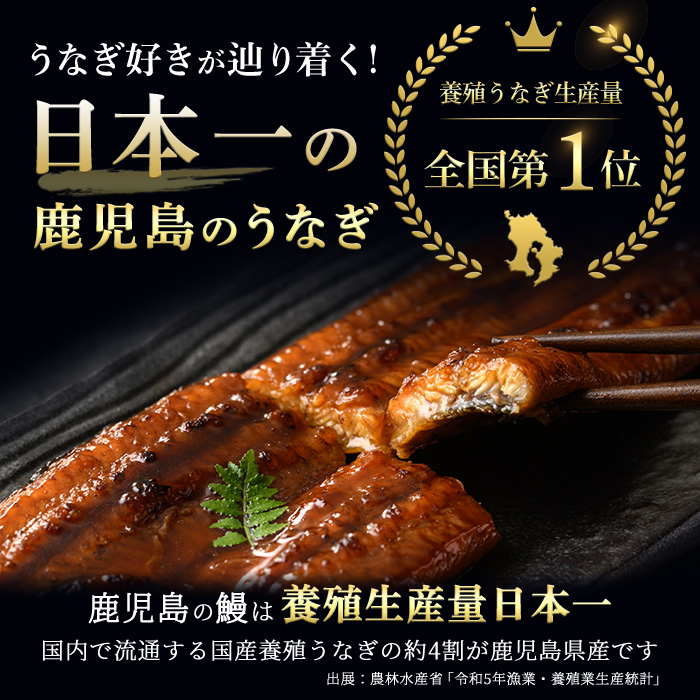 i1177-B ＜定期便・計6回(隔月)＞＼特大サイズ／鹿児島県産 うなぎ蒲焼 5尾セット ＜（約220g×5・計約1100g）×全6回＞ 定期便 たれ 山椒付きうなぎ 鰻 ウナギ 特大 特大サイズ 約220g 蒲焼き 国産 鹿児島県産 焼きたて 生産量日本一 真空パック おかず 晩御飯 特別な日 土用の丑の日 【薩摩川内鰻】