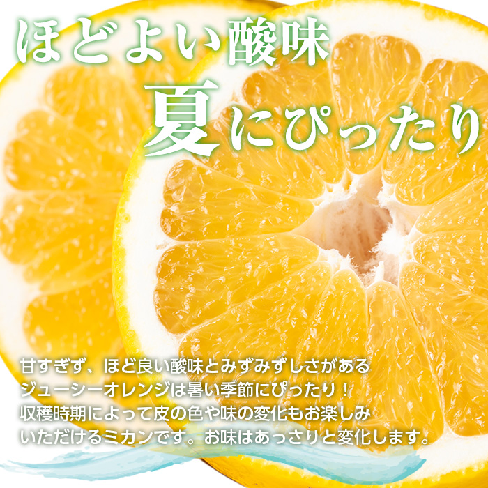 i798 ïŒ2026幎4æäžæ¬ïœ5æäžæ¬ã®éã«çºéäºå®ïŒ æ²³å
æ©æ (çŽ10kg) 鹿å
å³¶ åœç£ ææ© æç© æå® ãã«ãŒã èæ ã¿ãã ãæ±åŽææš¹åã