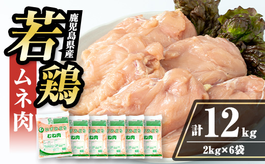 i448 若鶏ムネ肉(計12kg・2kg×6袋)鹿児島県産の鶏肉をお届け 鶏肉 鳥肉 とり肉 ムネ むね肉 国産 鹿児島県産 2kg 計12kg 安心安全 【まつぼっくり】