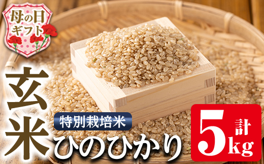 i884-B-m 【母の日ギフト】鹿児島県産米ひのひかり 特別栽培米 玄米(計5kg)