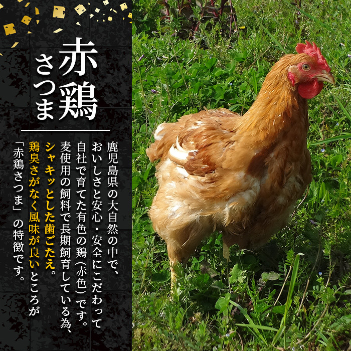 i614 《訳あり・不揃い》鹿児島県産赤鶏さつま鶏むね肉(3kg・10袋以上)【鹿児島サンフーズ】