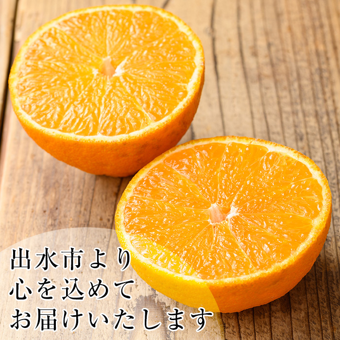 i1342 âªæ°éã»æééå®â«ããã¿ç£ 竹ãåå±±ã®ææ©è©°ãåãã2皮以äž(çŽ3ïœ5kg) 鹿å
å³¶ åœç£ ä¹å·ç£ ã¿ãã ãã³ã«ã³ ãœããã ããã¬ã äžç¥ç« ã¹ã€ãŒãã¹ããªã³ã° ææ© ãã ãã® ãã«ãŒã æå® ã»ãã è©°ãåãã ãã€ãŒãµã€ãã©ã€ã³ã