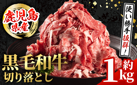 i1000 鹿児島県産 黒毛和牛 切り落とし (計約1kg・約500g×2パック) 国産 九州産 鹿児島産 黒毛和牛 牛肉 国産牛 切り落とし 切落し 小分け 冷凍配送 【スターゼン】