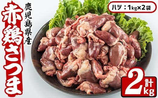 i515 鹿児島県産鶏肉！赤鶏さつまハツ(計2kg)【Scale-UP】