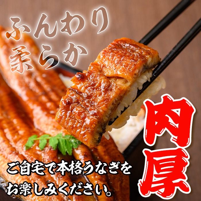 i1078-A-m 【母の日ギフト】＼特大サイズ／鹿児島県産 うなぎ蒲焼 2尾（約220g×2・計約440g） たれ 山椒付きうなぎ 鰻 ウナギ 特大 特大サイズ 約220g 蒲焼き 国産 鹿児島県産 焼きたて 生産量日本一 真空パック おかず 晩御飯 特別な日 贈答 ギフト プレゼント 母の日 【薩摩川内鰻】