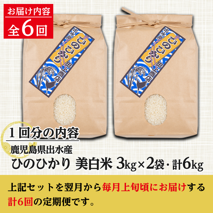 i543 ＜定期便・計6回(連続)＞鹿児島県出水市産ひのひかり美白米＜(3kg×2袋・計6kg)×全6回＞【田上商店】