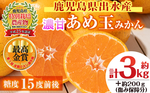 i687 ＜2024年11月下旬～2025年1月下旬の間に発送予定＞【特別栽培・最高金賞】温州みかん日本一！濃甘あめ玉みかん(約3kg・1箱＋傷み保障約200g(3～4玉)【Farmer friends Marche】