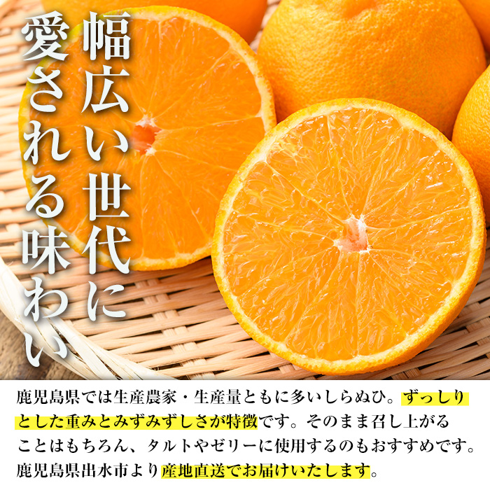 i1339 âªæ°éã»æééå®â«ããã¿ç£ 竹ãåå±±ã®ããã¬ã²(çŽ1.5kg) 鹿å
å³¶ åœç£ ä¹å·ç£ ããã¬ã äžç¥ç« ææ© ãã ãã® ãã«ãŒã æå® ãã€ãŒãµã€ãã©ã€ã³ã