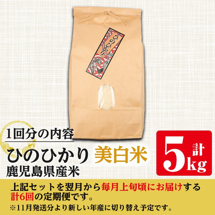 i880-B ＜定期便・計6回(連続)＞≪毎月数量限定≫鹿児島県産米ひのひかり 美白米(計30kg・5kg×全6回)【田上商店】