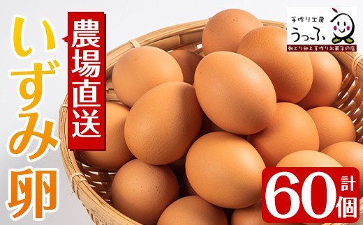 i461 農場直送！いずみ卵(60個入り)発送当日に採卵された新鮮なたまごをお届け！【浦本養鶏】