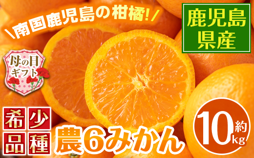 i593-m 【母の日ギフト】農6みかん(約10kg) 果物 フルーツ 柑橘 国産 鹿児島県産 みかん 蜜柑 母の日 プレゼント ギフト 贈答 【江崎果樹園】