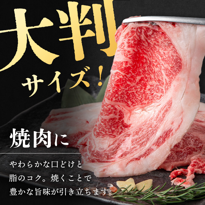 i1190 《毎月数量限定》A4～A5 鹿児島和牛ロース大判焼肉スライス(計500g・250g×2枚) 黒毛和牛 和牛 ロース スライス A4 A5 等級 大判 大きい サイズ 焼肉 用 バーベキュー BBQ 霜降り 国産 鹿児島県産 牛肉 肉 お肉 冷凍 【居食肉】
