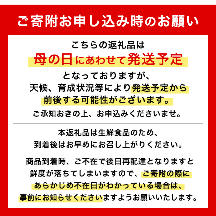 i585-m 【母の日ギフト】農6みかん(約5kg) 果物 フルーツ 柑橘 国産 鹿児島県産 みかん 蜜柑 母の日 プレゼント ギフト 贈答 【江崎果樹園】