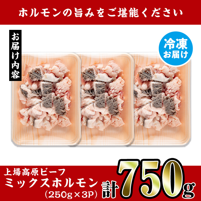 i1157 上場高原和牛ミックスホルモン(計750g・250g×3P) 上場高原ビーフ ホルモン ミックスホルモン 焼肉 鉄板焼き もつ鍋 炒めもの 冷凍 小分け 牛肉 【スーパーよしだ】