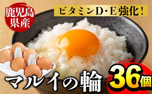 i303 鹿児島県産の白たまご約10kg(約165個・Mサイズ)業務用仕様！養鶏の専門農協で一貫して生産された国産生卵！【マルイ食品】