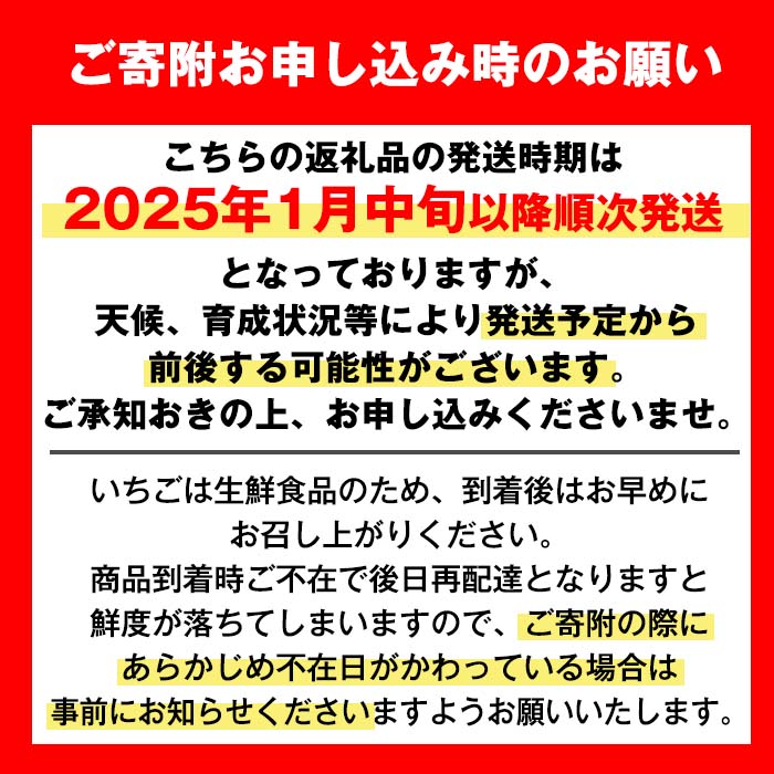 i109 ＜2025年1月中旬以降順次発送予定＞＜ギフト用・数量限定＞ 鹿児島県産イチゴ(計約1.4kg・40粒×2箱)【JA鹿児島いずみ】