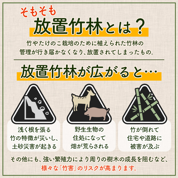 i1065 鹿児島めんま 四川山椒(100g) めんま 四川山椒 山椒 国産 九州 常温 味付き 味付け おつまみ おかず ごはんのお供 晩酌 ピリ辛 ラーメン 具材 トッピング 漬物 竹 幼竹 孟宗竹 環境保全 メール便 ポスト投函 ネコポス 【シンタク】