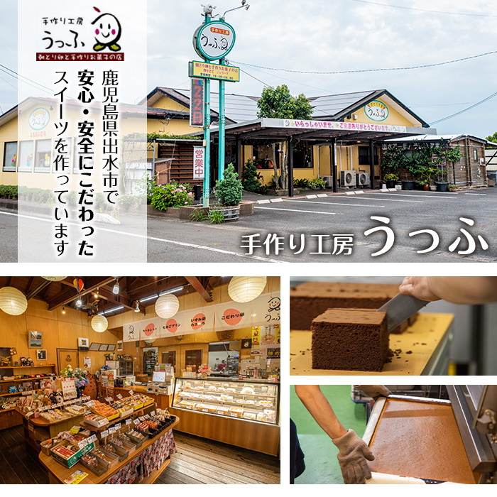 i464 鶴おごじょの詰め合わせ！いずみ卵カステラ・チョコカステラ・バウムクーヘンのセット(9cm角サイズ・計4箱)3種類をかわいい箱に入れてお届け♪【浦本養鶏】