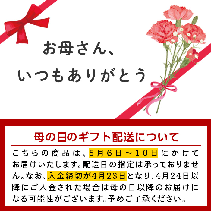 i1218-A-m 【母の日ギフト】十三奉行(じゅさぶろ)温泉入浴券(5回分) チケット 温泉 入浴券 施設利用券 商品券 旅行 日帰り リラクゼーション 母の日 ギフト プレゼント 贈答 【アーステクノ】