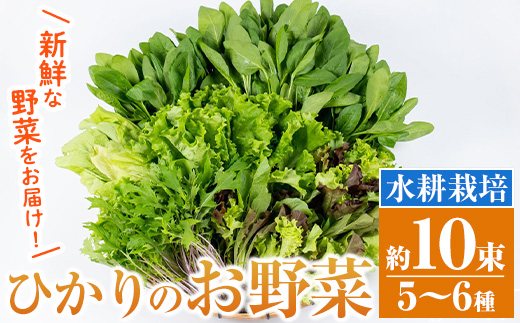 i849 ひかりのお野菜(約10束・5〜6種)【ひかりの郷】