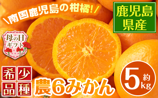 i585-m 【母の日ギフト】農6みかん(約5kg) 果物 フルーツ 柑橘 国産 鹿児島県産 みかん 蜜柑 母の日 プレゼント ギフト 贈答 【江崎果樹園】