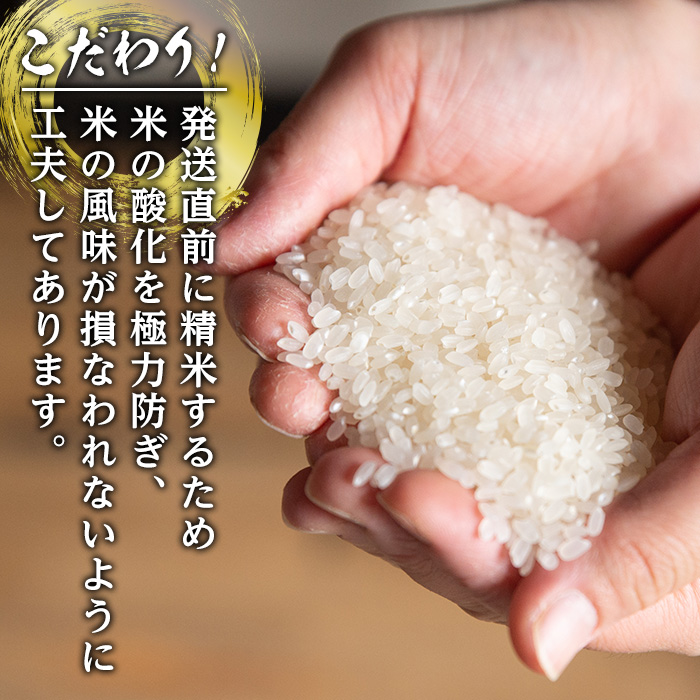 i1118-B ãæ°ééå®ã鹿å
å³¶çåºæ°Žåžç£ããã®ãŸãçç±³ïŒèš6kg(3kgÃ2è¢)ïŒ ç±³ ãç±³ 6kg çç±³ ããã®ãŸã èªå®¶ç²Ÿç±³ 粟米 èªå®¶è±ç© è±ç© ãã«ãã ãã¯ã ãç±³ãã€ã¹ã¿ãŒ å³éž ãç°äžååºã