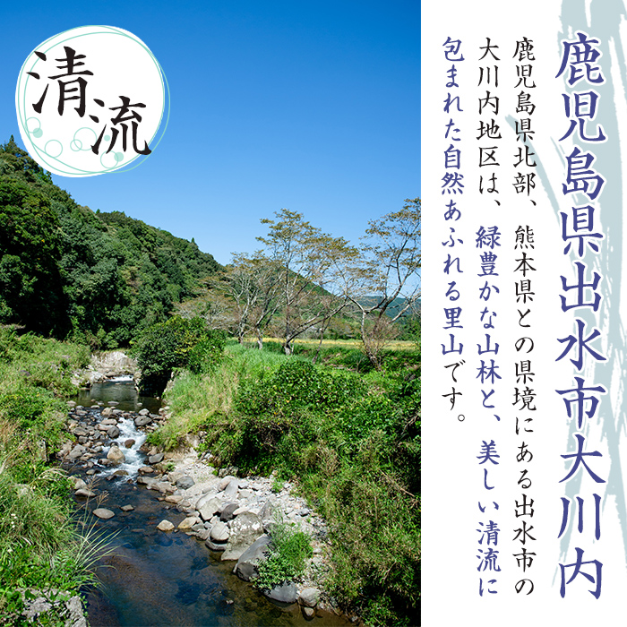 i346 鹿児島県出水市産の大川内麦味噌(1kg×6袋・計6kg)地域のお母さんたちが丁寧に作り上げた地元で愛される田舎味噌！【大川内地区コミュニティ協議会】