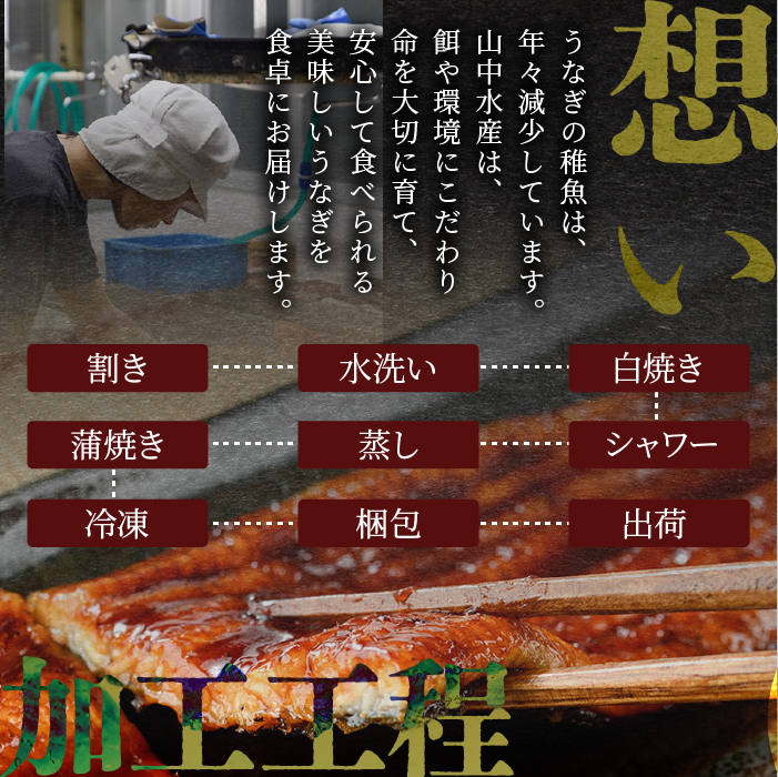 【父の日ギフト】鹿児島県産 鰻の蒲焼(無頭背開き)約165g×2尾(山中水産/IB022-001f) 父の日 ギフト 贈り物 プレゼント うなぎ 国産 鹿児島 蒲焼 ウナギのかば焼き うなぎの蒲焼
