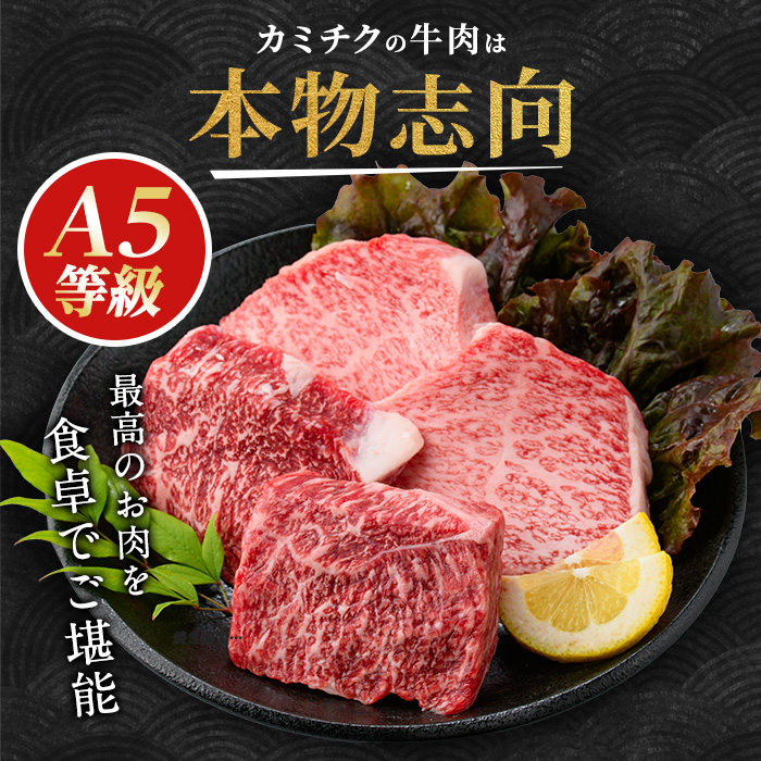 【父の日ギフト】希少部位『ヒウチ＆イチボ』A5等級鹿児島県産黒毛和牛食べ比べステーキ(カミチク/IB112-009f)