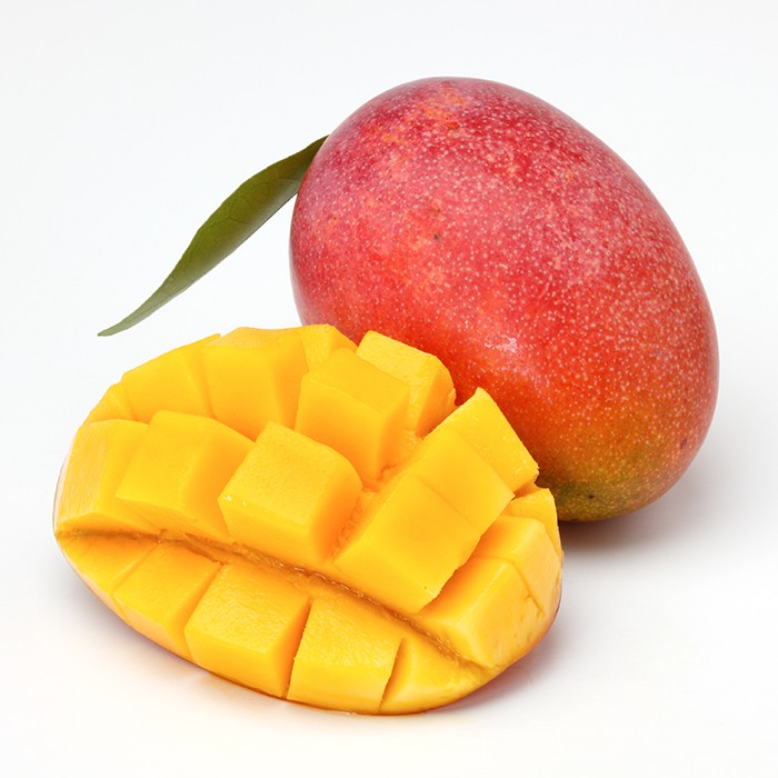 【2026年発送】鹿児島県指宿産 完熟マンゴー 約2kg (室屋植物園/IB163-002) 贈答用 完熟 フルーツ 果物 果実 デザート スイーツ 南国 化粧箱入