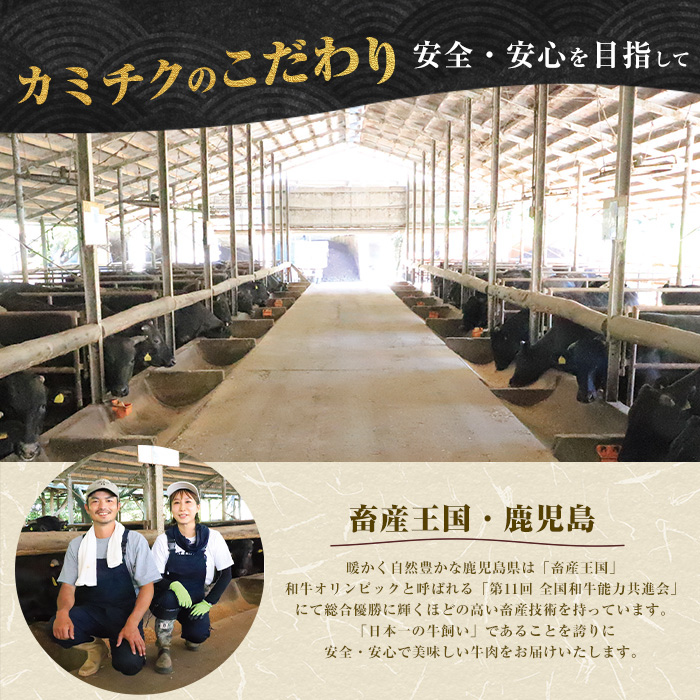 【父の日ギフト】希少部位『ヒウチ＆イチボ』A5等級鹿児島県産黒毛和牛食べ比べステーキ(カミチク/IB112-009f)