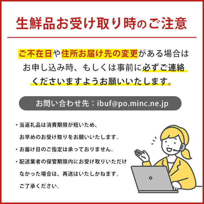 【2026年発送】【訳あり】鹿児島県指宿産 完熟マンゴー約1kg (室屋植物園/IB163-003) 訳あり ご家庭用 完熟 フルーツ 果物 果実 デザート スイーツ 南国