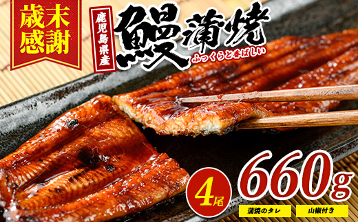 【歳末感謝！】【鹿児島県産】 鰻の蒲焼(無頭背開き)約165g×4尾(山中水産/033-1066) うなぎ 国産 鹿児島 蒲焼 丑の日 丑 土用丑の日 