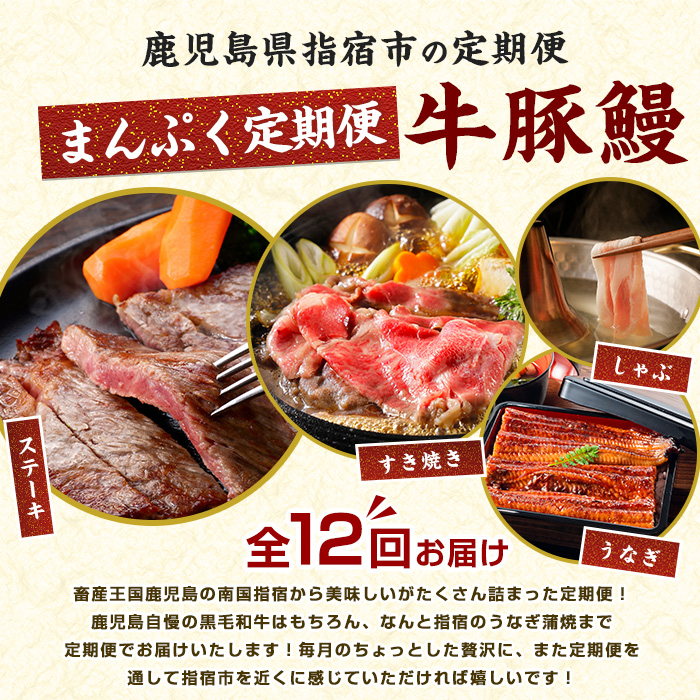 【2026年発送 先行予約】【全１２回定期便】鹿児島自慢の 豚 ・ 牛 ・ うなぎ まんぷく 定期便 (水迫畜産/Z100-1773) 頒布会 頒布 定期 国産 肉 豚 牛 豚肉 牛肉 鹿児島県産 生ハム すき焼き 和牛 国産牛 薄切り スライス 黒毛和牛 霜降り バラ ロース 黒豚 鍋 しゃぶしゃぶ カルビ 小分け カレー シチュー ステーキ 焼き肉 焼肉 指宿 鹿児島 いぶすき