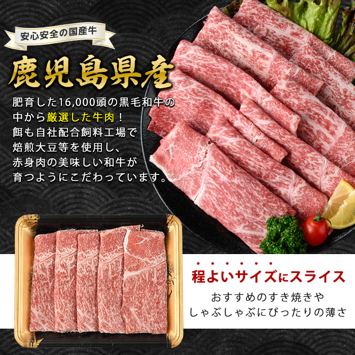 鹿児島県産黒毛和牛赤身スライス620g(310g×2P)(水迫畜産/010-1689) 肉 牛肉 牛 黒毛和牛 和牛 国産 鹿児島県産 鹿児島産 モモ ウデ ロース 肩ロース モモ肉 ウデ肉 指宿 いぶすき すき焼き しゃぶしゃぶ すきやき 小分け