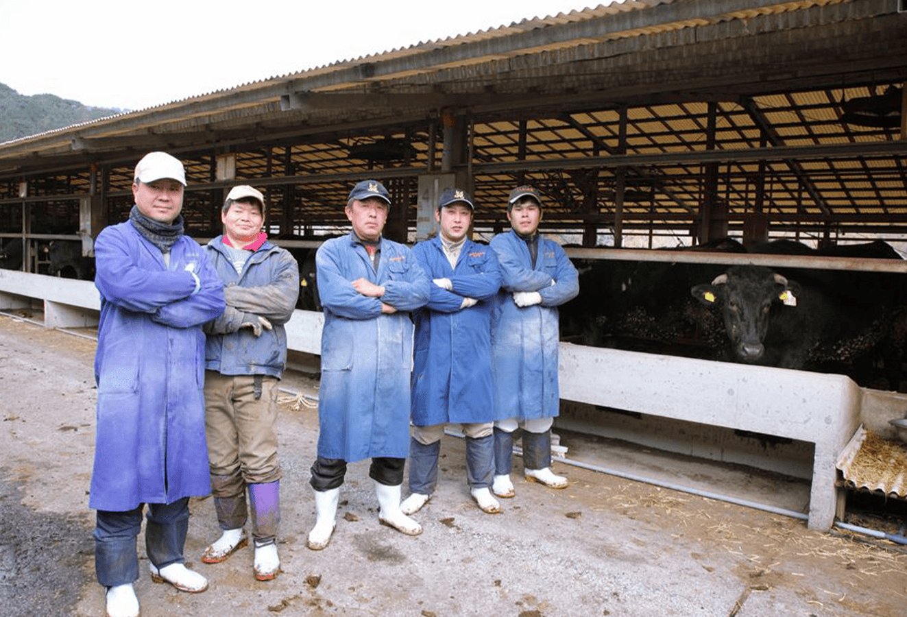 【A4ランク未経産黒毛和牛】指宿育ち！黒毛和牛ステーキ三昧♪フィレ・サーロイン・モモセット(Meat you/110-1018)