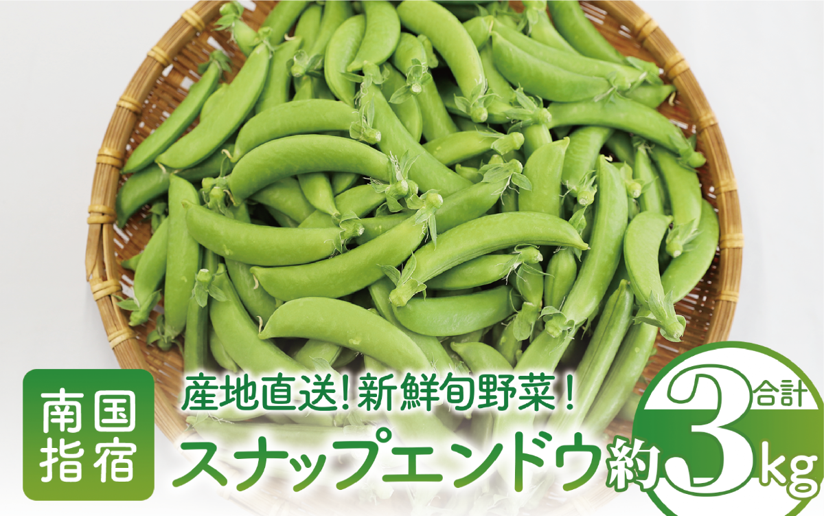 2026年2月上旬頃～発送【産地直送！新鮮旬野菜！】ご家庭用スナップエンドウ約3kg(指宿促成青果/A-415) スナップ エンドウ 野菜 旬 旬野菜 春 サラダ 天ぷら 炒め物 新鮮 指宿 鹿児島 いぶすき