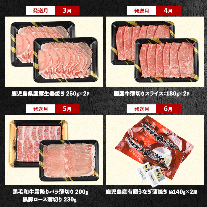 【2026年発送 先行予約】【全１２回定期便】鹿児島自慢の 豚 ・ 牛 ・ うなぎ まんぷく 定期便 (水迫畜産/Z100-1773) 頒布会 頒布 定期 国産 肉 豚 牛 豚肉 牛肉 鹿児島県産 生ハム すき焼き 和牛 国産牛 薄切り スライス 黒毛和牛 霜降り バラ ロース 黒豚 鍋 しゃぶしゃぶ カルビ 小分け カレー シチュー ステーキ 焼き肉 焼肉 指宿 鹿児島 いぶすき