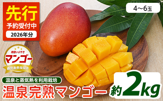 【2026年 発送】温泉完熟マンゴー約2kg(トロピカルファームいぶすき/044-1767) マンゴー フルーツ 果物 旬 夏 指宿 いぶすき 鹿児島