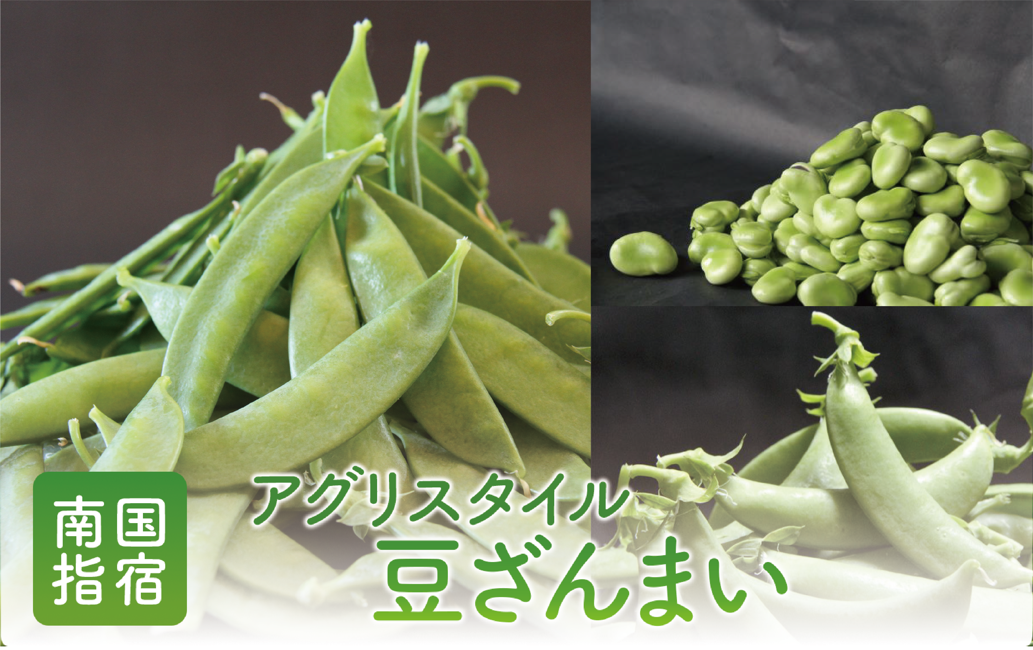 【2026年1月中旬〜発送】豆ざんまい(アグリスタイル/A-294) 鹿児島県 指宿市 新鮮 直送 レンジで簡単調理 豆 えんどう豆 スナップエンドウ そら豆 国産 野菜 キヌサヤエンドウ 絹サヤ さや付きそら豆 オランダエンドウ