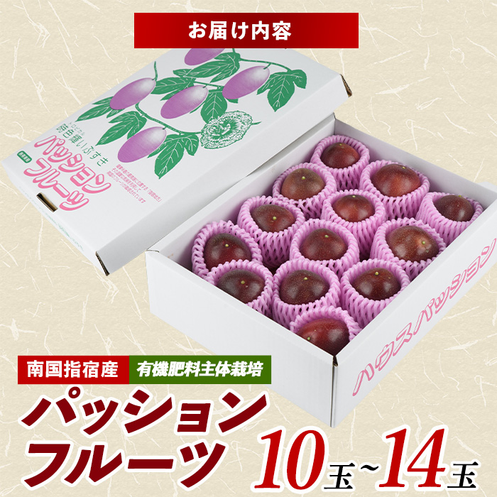 【2026年 発送】パッションフルーツ10玉〜14玉(マンゴーの森/IB040-010) 鹿児島 国産 指宿市 トロピカルフルーツ 南国フルーツ 果実 果肉 果物 ビタミン 農家直送  パッションフルーツ パッションフルーツジュース