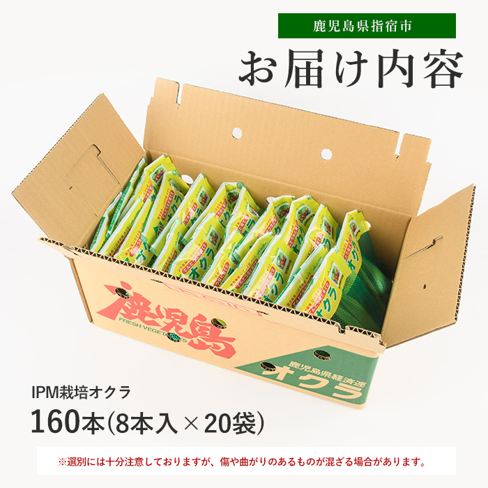 【2026年5月上旬～発送】栽培期間中、農薬の使用を抑えた指宿産オクラ160本(8本入×20袋)(エコオクラグループ/IB166-001) オクラ おくら 野菜 夏野菜 旬 特産 夏 新鮮 鹿児島県