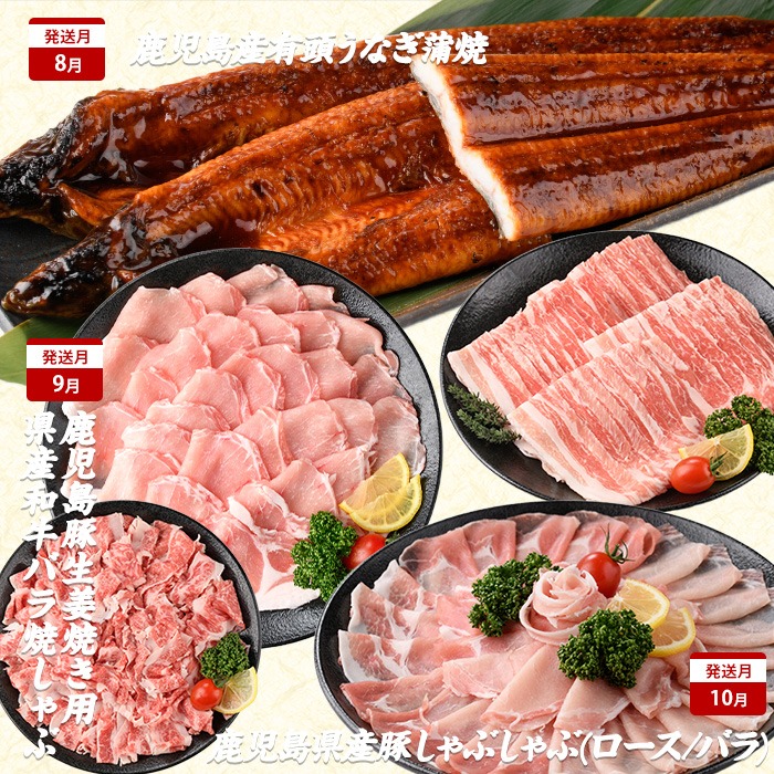 【2026年発送 先行予約】【全１０回定期便】鹿児島自慢の豚・牛・うなぎ 満足定期便(水迫畜産/Z100-528) 国産 鹿児島県産 ウナギ 鰻 牛肉 豚肉 肉 牛 豚 生ハム うなぎ蒲焼 蒲焼 蒲焼き すきやき すき焼き 生姜焼き 合いびき 合挽 味付 和牛 黒豚 いぶすき ホルモン カルビ ハンバーグ 切り落とし 焼肉 しゃぶしゃぶ ステーキ ソーセージ 指宿 鹿児島 頒布会 定期