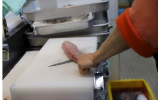 縲宣ョョ鬲壹第欠螳ソ逕」 闖懊ョ闃ア縺九s縺ア縺。1蟆セ(謖螳ソ螻ア蟾晄ーエ逕」/IB035-001)